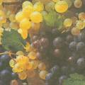 raisin0047-1.jpg (3299 octets)