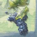 raisin0048-1.jpg (3188 octets)