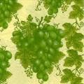 raisin0050-1.jpg (4177 octets)