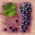 raisin0058-1.jpg (3800 octets)