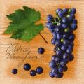 raisin0058-2.jpg (3953 octets)