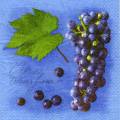 raisin0058-3.jpg (3537 octets)