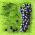 raisin0058-4.jpg (3783 octets)
