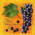 raisin0058-5.jpg (7587 octets)