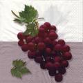 raisin0059-1.jpg (2907 octets)