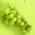 raisin0061-1b.jpg (2479 octets)