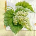 raisin0064-1a.jpg (3487 octets)