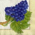 raisin0064-1b.jpg (3605 octets)