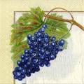 raisin0064-1c.jpg (3695 octets)