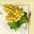 raisin0064-1d.jpg (3479 octets)