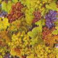 raisin0065-1.jpg (4705 octets)