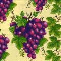 raisin0068-1.jpg (5082 octets)