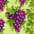 raisin0068-2.jpg (5029 octets)