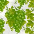 raisin0068-3.jpg (4369 octets)