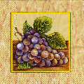 raisin0069-2.jpg (4665 octets)