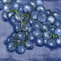 raisin0071-1.jpg (4083 octets)