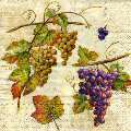 raisin0073-1.jpg (5021 octets)