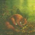anim0012-1.jpg (3718 octets)