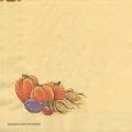 anim0022-1a.jpg (1680 octets)