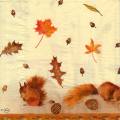 anim0035-1a.jpg (3310 octets)