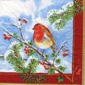 anim0037-1b.jpg (4644 octets)