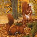 anim0060-1.jpg (3982 octets)