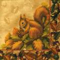 anim0061-1.jpg (4017 octets)