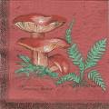 champi0001-1a.jpg (3021 octets)