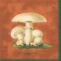 champi0005-2b.jpg (2755 octets)