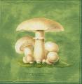 champi0005-3b.jpg (2692 octets)