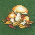 champi0013-3.jpg (3048 octets)