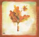 champi0014-1a.jpg (2872 octets)
