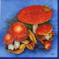 champi0017-2.jpg (7135 octets)