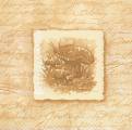 champi0020.jpg (2866 octets)