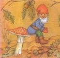 champi0024a.jpg (3463 octets)