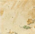 champi0028a.jpg (2275 octets)