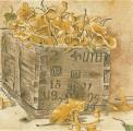 champi0028b.jpg (3884 octets)