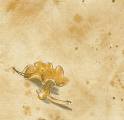 champi0028c.jpg (2397 octets)