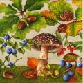 champi0047-1a.jpg (5022 octets)