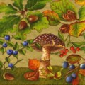 champi0047-2a.jpg (7737 octets)