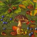 champi0047-4a.jpg (4083 octets)