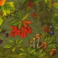 champi0047-4b.jpg (3841 octets)