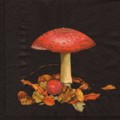 champi0050-2a.jpg (4475 octets)