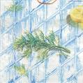 cuisine0040-1a.jpg (4140 octets)