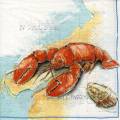 cuisine0082-1b.jpg (3663 octets)