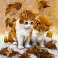 chats.jpg (4246 octets)