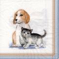 chien-chat.jpg (3022 octets)