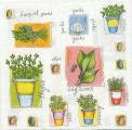 herbes0001-1b.jpg (4099 octets)