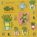 herbes0001-2b.jpg (4133 octets)