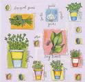 herbes0001-3b.jpg (3988 octets)